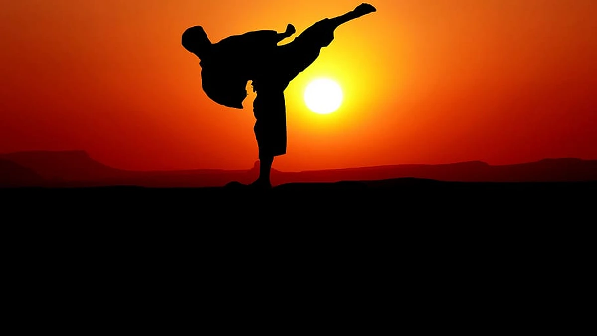 sejarah olahraga karate