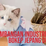 perkembangn industri bokep jepang