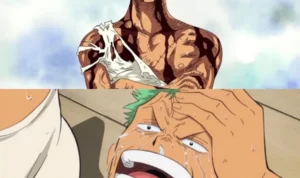 Zoro