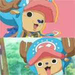 Chopper